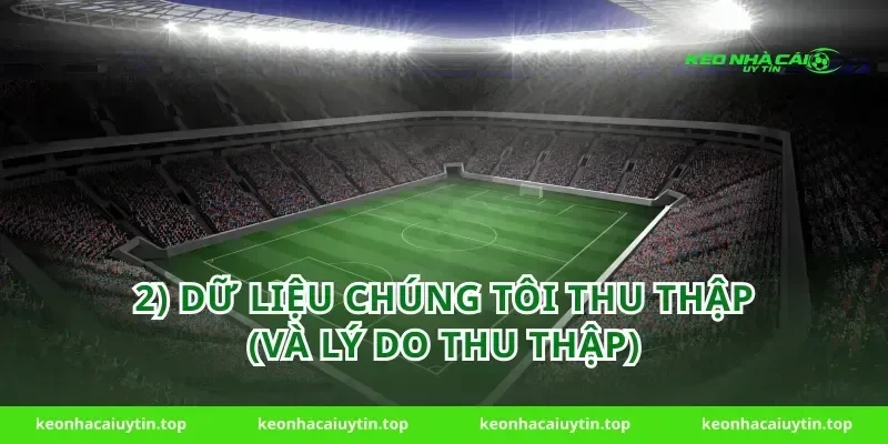 2) Dữ liệu chúng tôi thu thập (và lý do thu thập)
