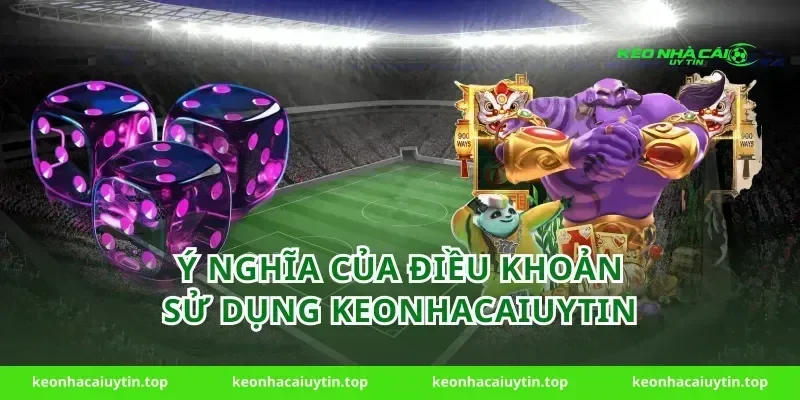 Ý nghĩa của điều khoản sử dụng keonhacaiuytin