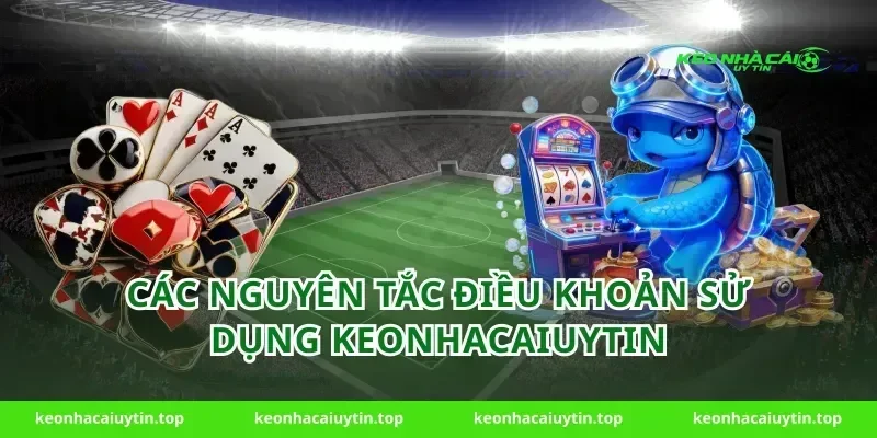 Các nguyên tắc điều khoản sử dụng keonhacaiuytin