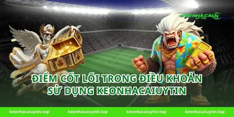 Điểm cốt lõi trong điều khoản sử dụng keonhacaiuytin