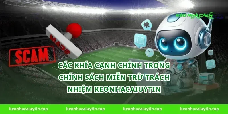 Các Khía Cạnh Chính Trong Chính Sách Miễn Trừ Trách Nhiệm Keonhacaiuytin